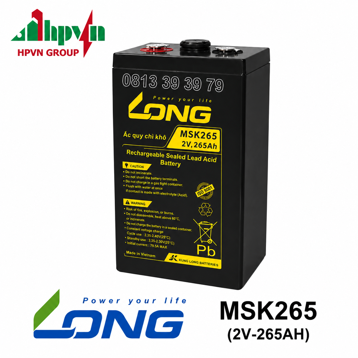 Ắc Quy Long MSK265 (2V-265Ah)